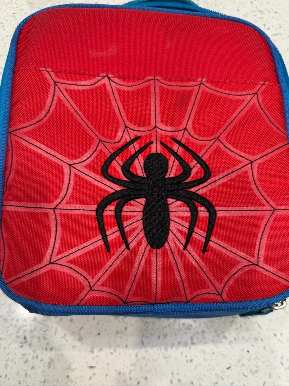 Pottery Barn Kids fun spider